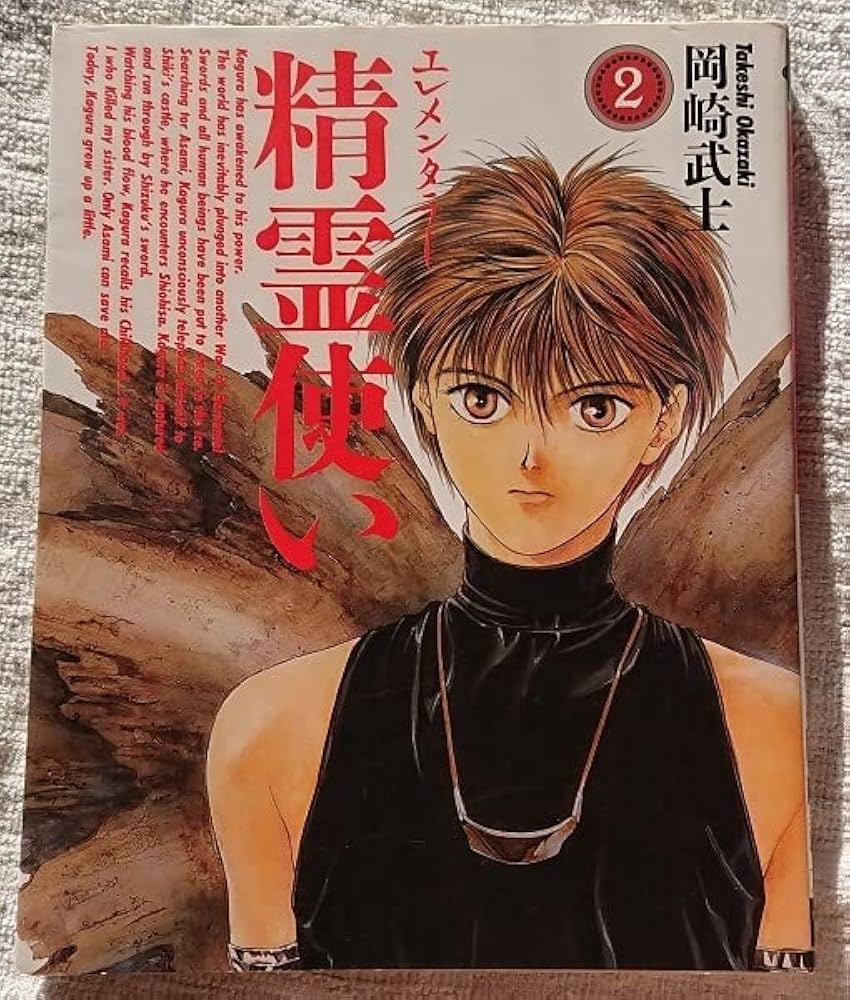 Amazon.co.jp: 漫画§岡崎武士精霊使い（エレメンタラー） 全4巻